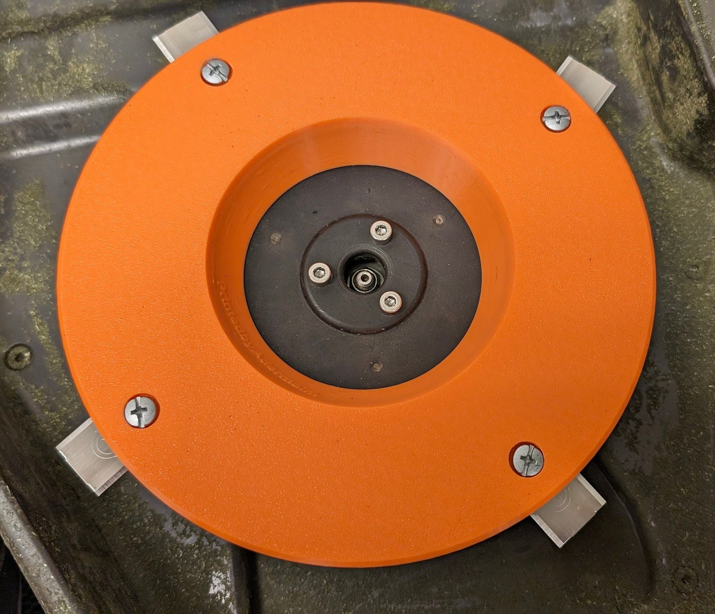 Luba - Set of Disc Covers